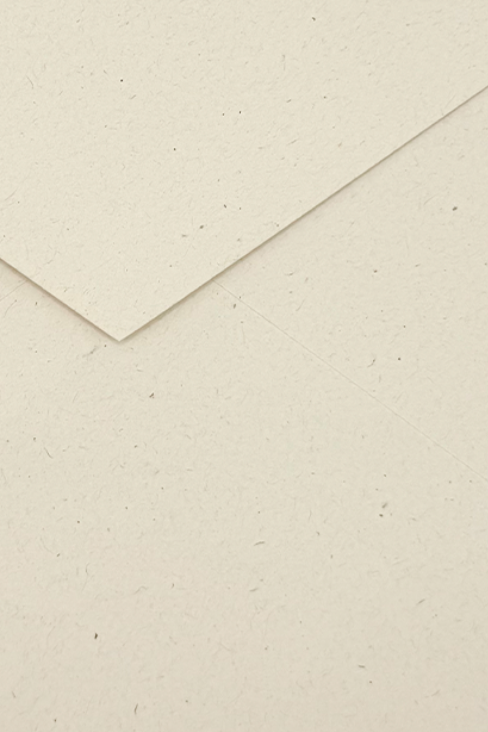 Sobre 162x229 Betulla