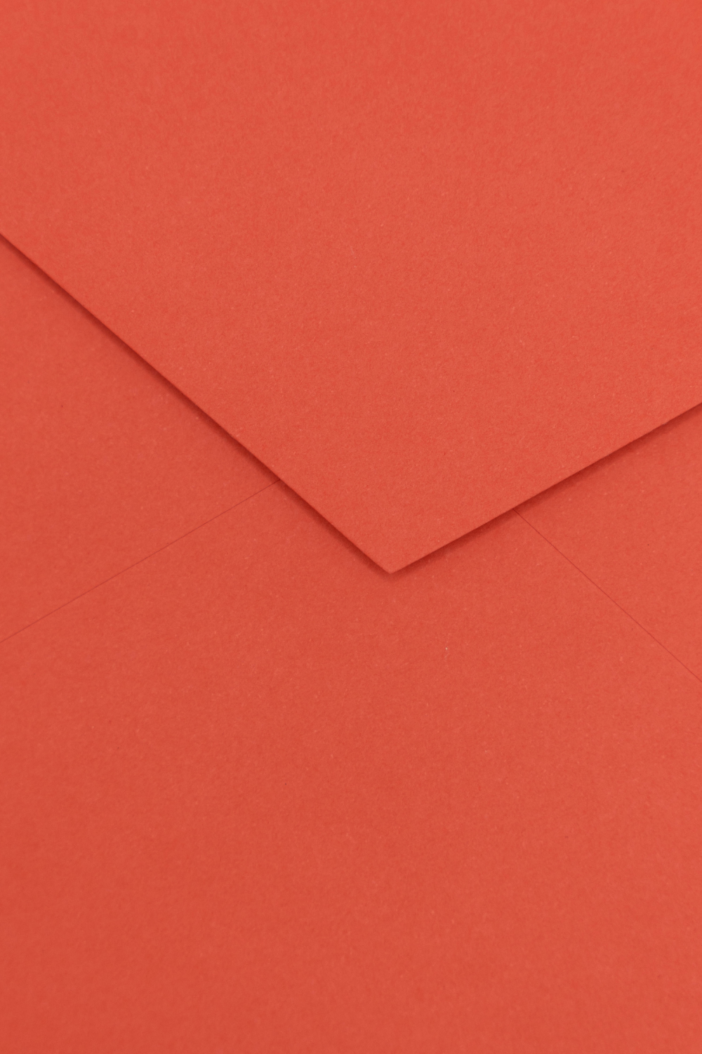 Flamingo 162 x x 229