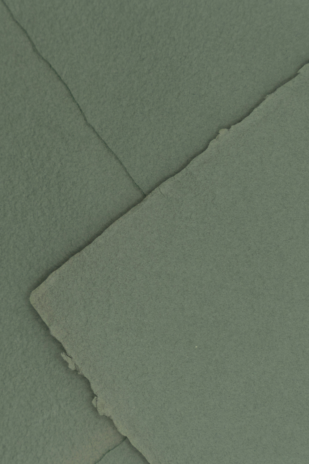 Natural dry green 162 x 229