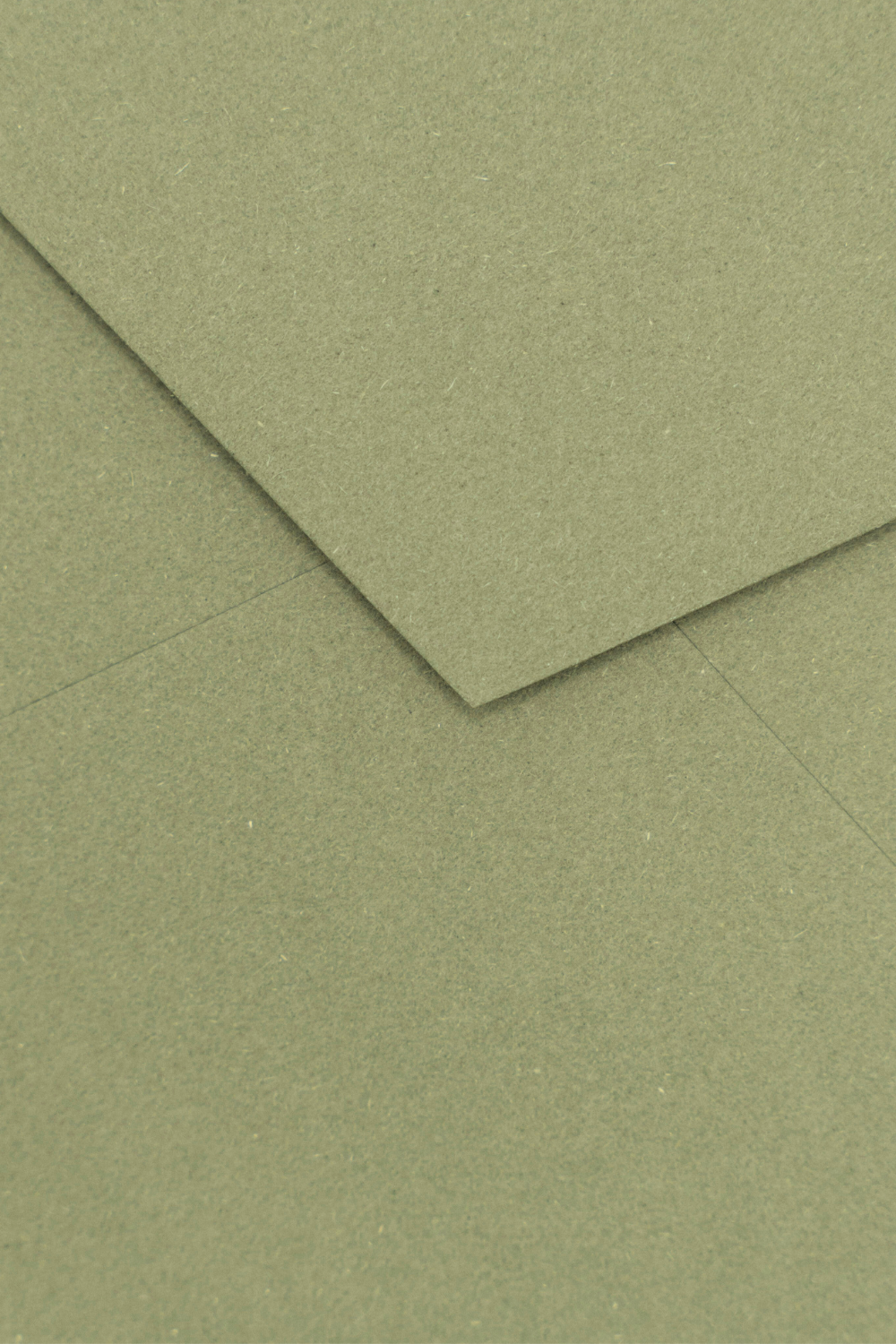 Sobre 162x229 Mud Green