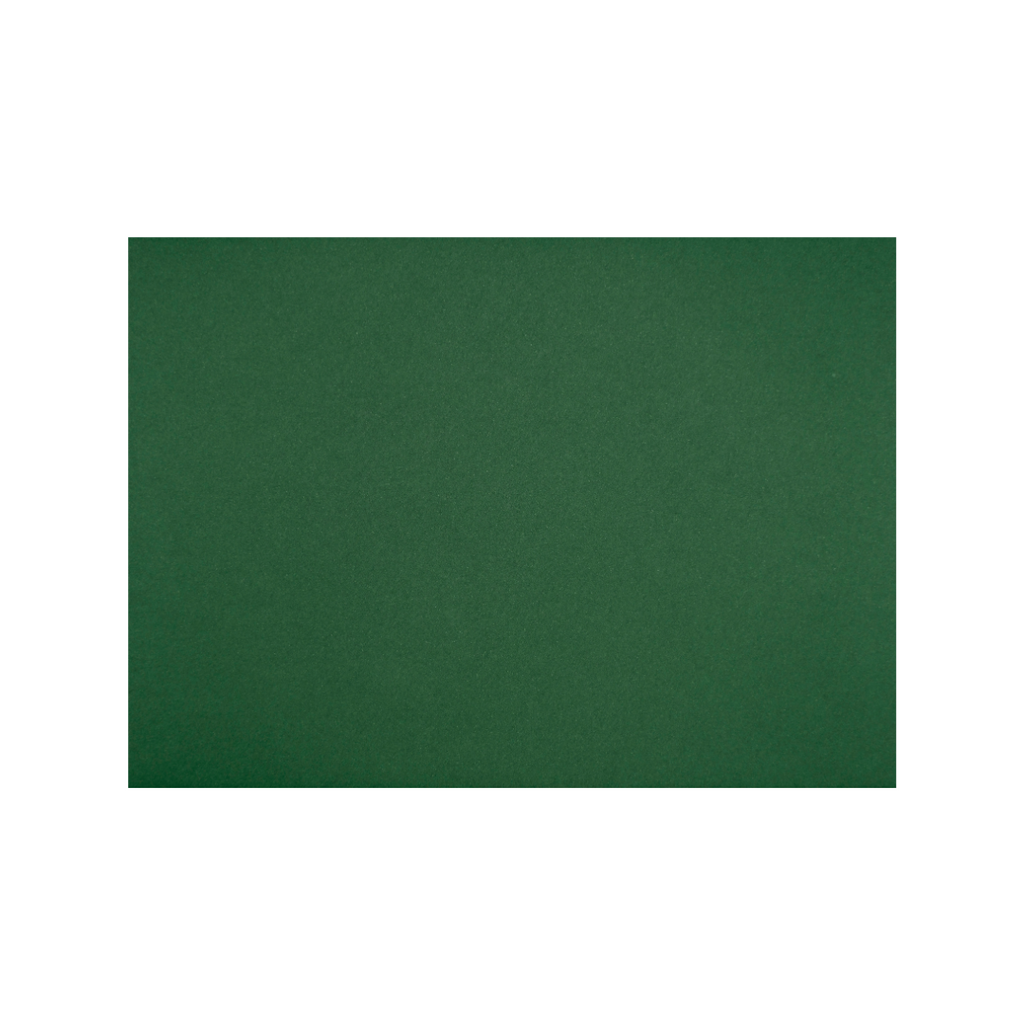Foglia 162 x 229