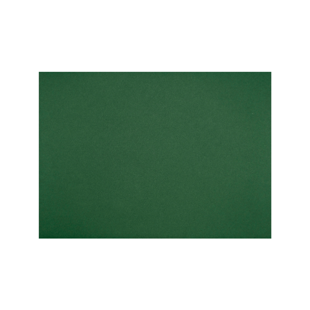 Foglia 162 x 229