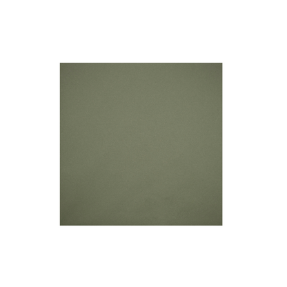 Mud green 165 x 165